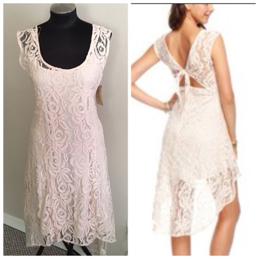 NEW American Rag lace dress (cream/blush)